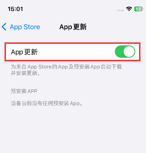 火炬开发区街道苹果15维修中心如何让iPhone15APP自动更新