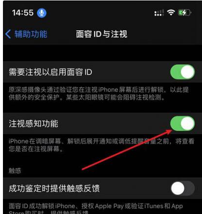 火炬开发区街道苹果14维修网点分享iPhone14注视感知功能有什么用 