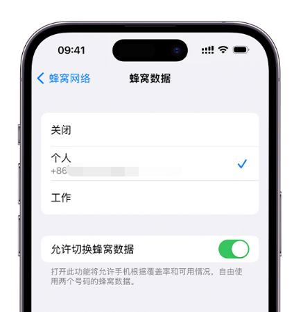 火炬开发区街道苹果维修服务分享如何在iPhone上使用双卡 